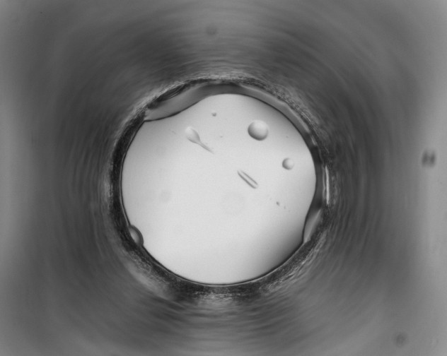 X0000099460252200805301540