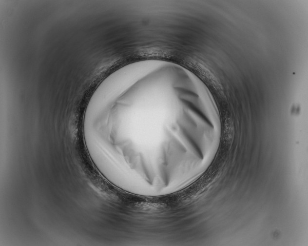 X0000099460255200805301540