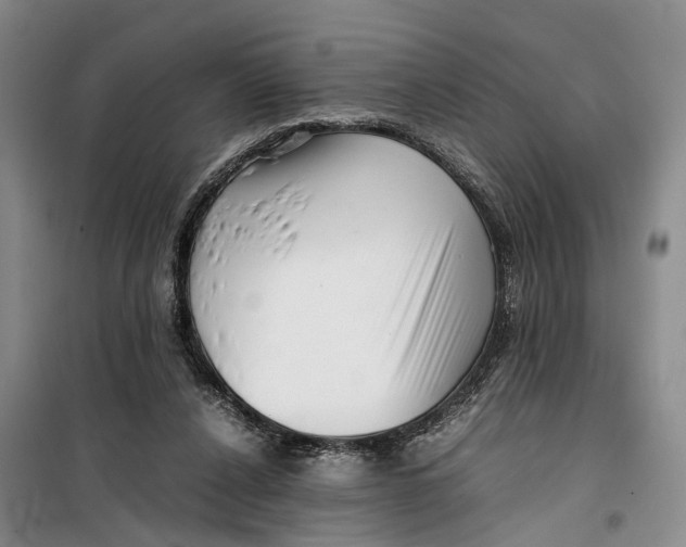 X0000099460256200805301540