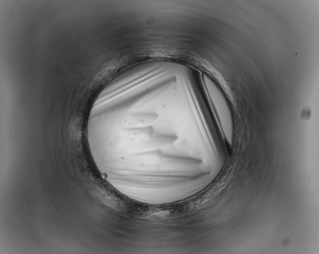 X0000099460257200805301540