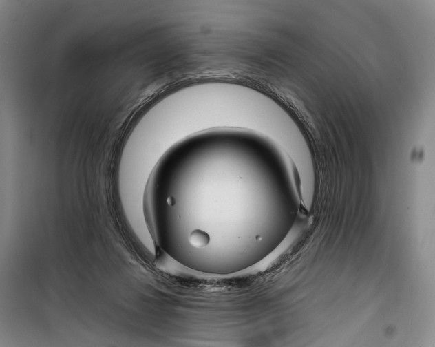 X0000099460260200805301540