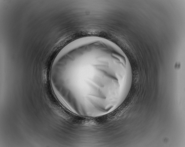 X0000099460262200805301540