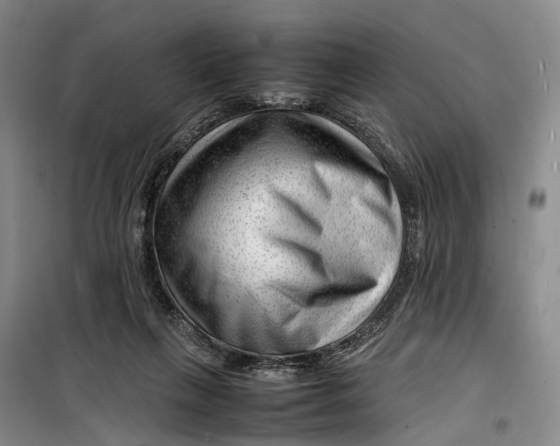 X0000099460263200805301540