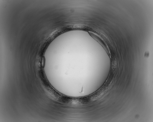 X0000099460264200805301540