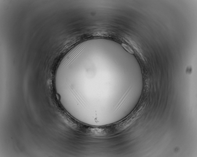 X0000099460265200805301540