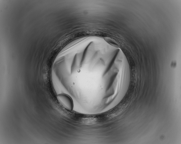 X0000099460266200805301540