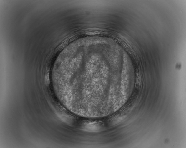 X0000099460267200805301540