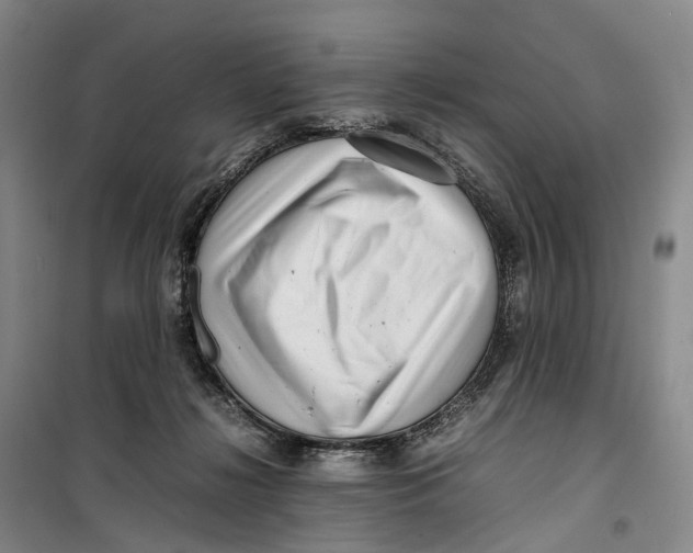 X0000099460268200805301540