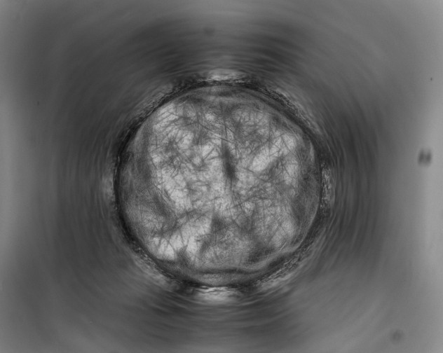 X0000099460269200805301540