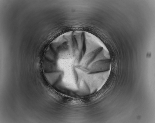 X0000099460270200805301540