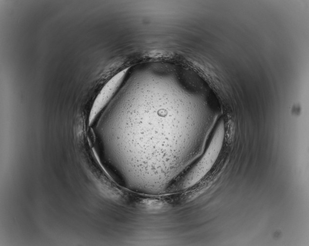 X0000099460272200805301541