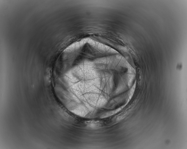 X0000099460273200805301541