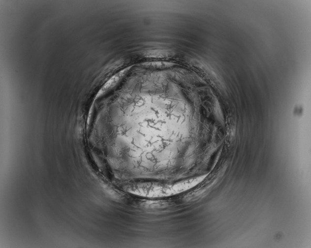 X0000099460277200805301541