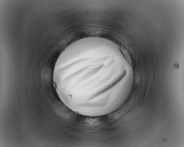 X0000099460283200805301541