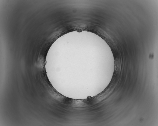 X0000099460287200805301541