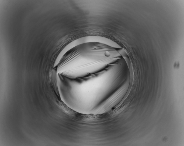 X0000099460288200805301541