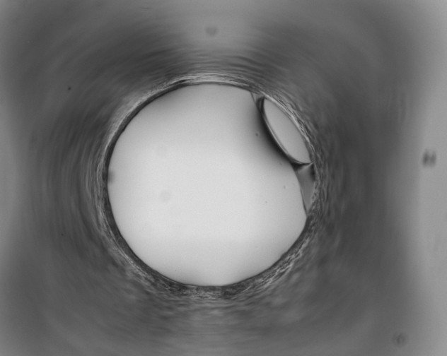 X0000099460289200805301540