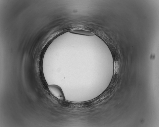 X0000099460291200805301540