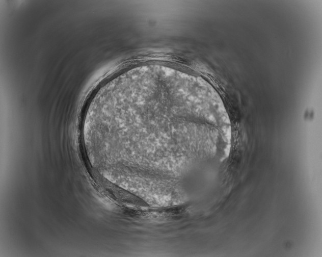 X0000099460293200805301540