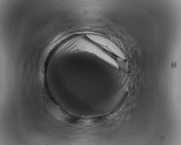 X0000099460295200805301540