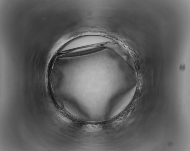 X0000099460296200805301540