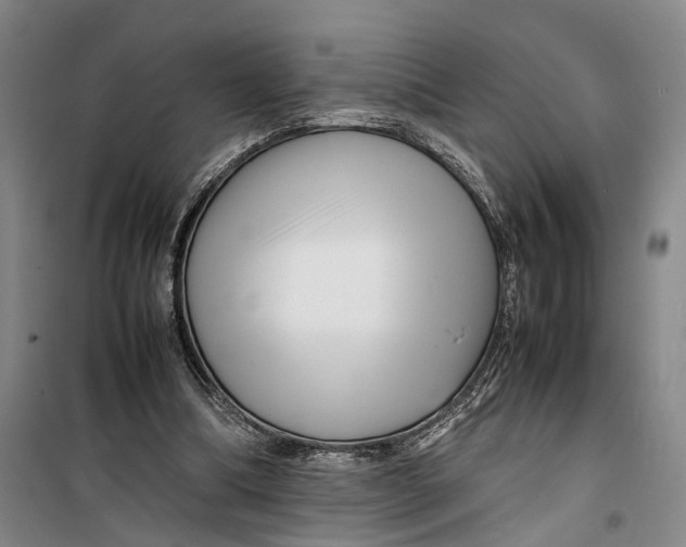 X0000099460298200805301540