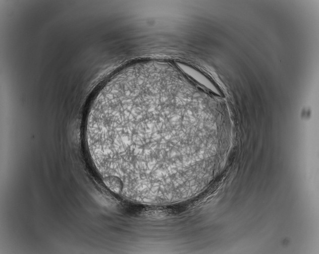 X0000099460299200805301540