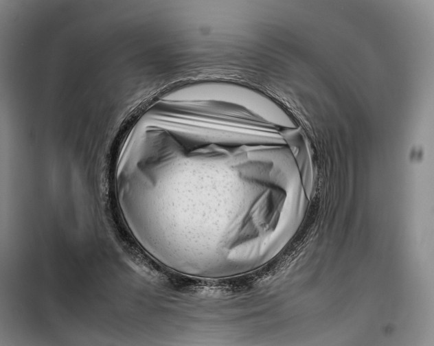 X0000099460303200805301540