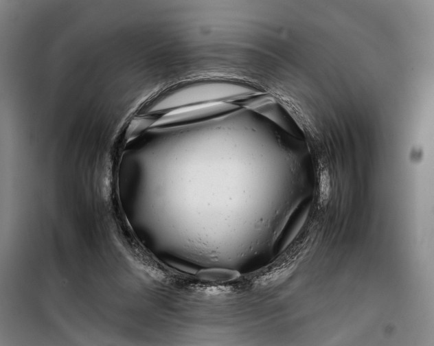 X0000099460304200805301540