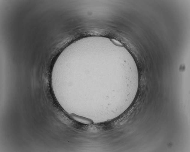 X0000099460305200805301540