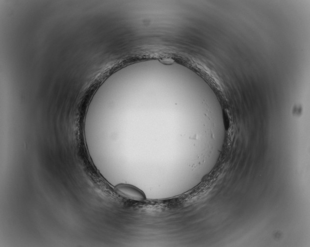 X0000099460306200805301540