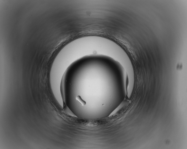 X0000099460308200805301540