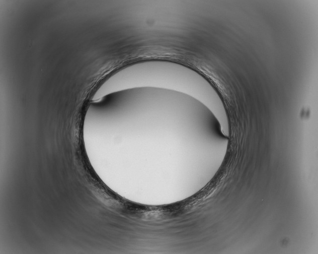 X0000099460309200805301540