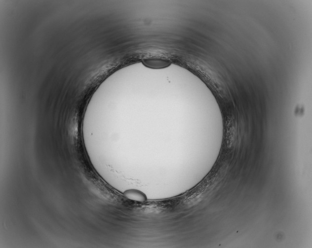 X0000099460310200805301540