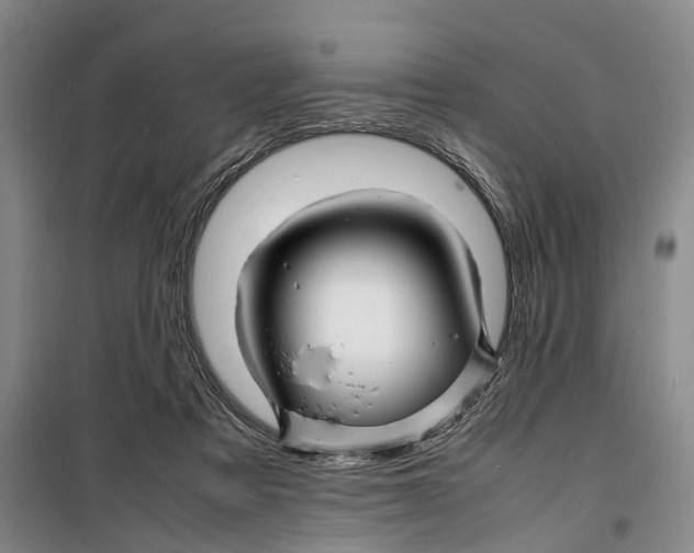 X0000099460313200805301540