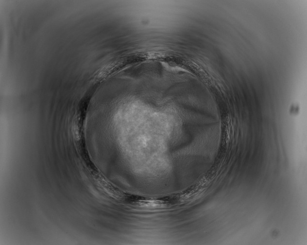 X0000099460316200805301540