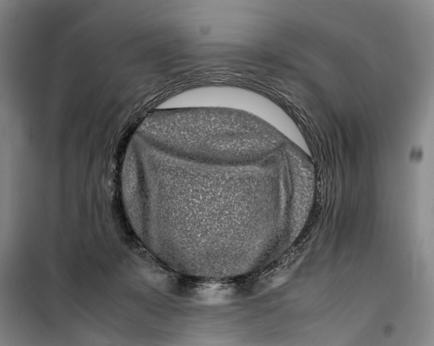 X0000099460319200805301540