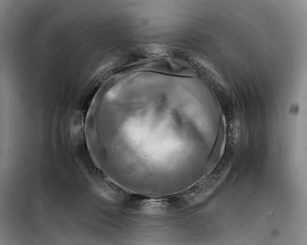 X0000099460320200805301540