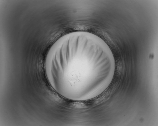 X0000099460322200805301540