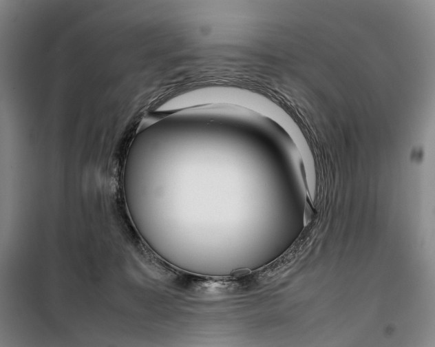 X0000099460323200805301540