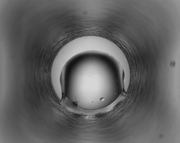 X0000099460324200805301540