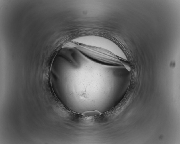 X0000099460325200805301540