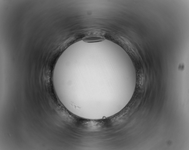 X0000099460326200805301540