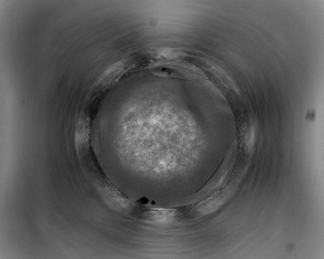 X0000099460328200805301540