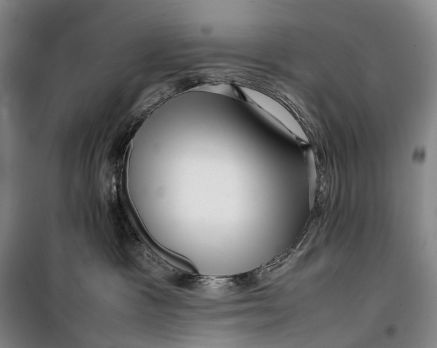 X0000099460333200805301540