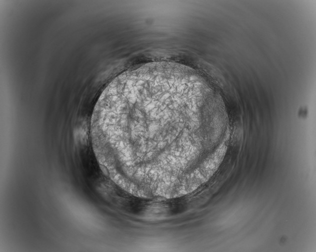 X0000099460335200805301540