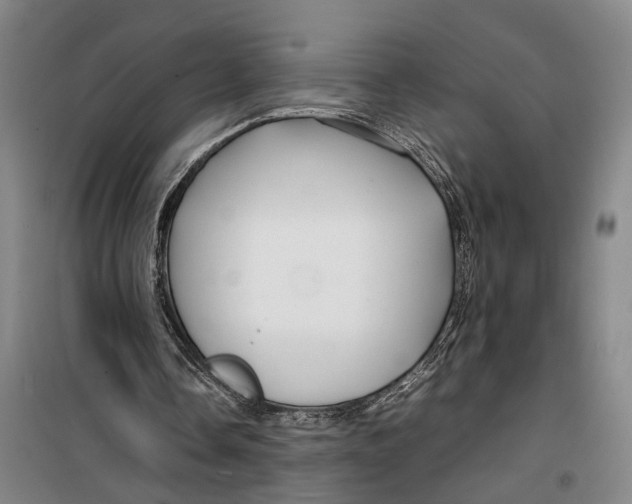 X0000099460338200805301539