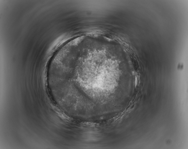 X0000099460339200805301539