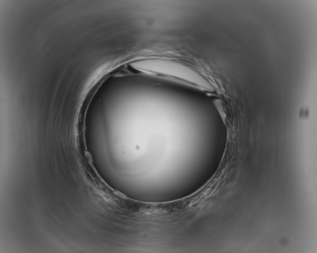 X0000099460340200805301539