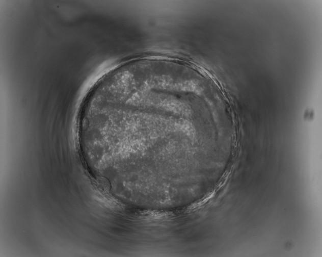 X0000099460343200805301539